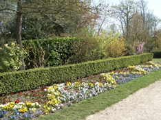 Versailles_ROI_jardin - CIMG6757 Jardin du roi