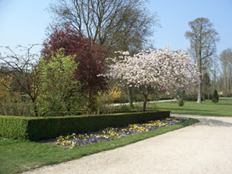 Versailles_ROI_jardin - CIMG6746 Jardin du roi