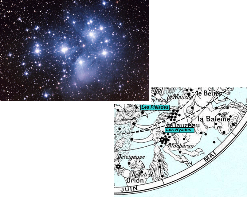 Pliades constellation++++,pleiade5++++