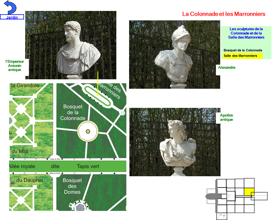 Plan versailles corel 300 24 centre midi D,Jeans,Jeans,Jeans,Jeans,Versailles_MARRON_st282 - Antonin - antique - CIMG6736 ,Versailles_MARRON_st279 - Alexandre - x - CIMG6735 ,Versailles_MARRON_st280 - Apollon - antique - CIMG6734 